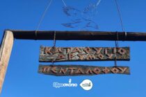 Μια διαφορετική εμπειρία στον Πεντάλοφο: το κάλεσμα του “Δρυμού” για ένα Σαββατοκύριακο μέσα στη φύση