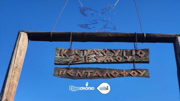 Μια διαφορετική εμπειρία στον Πεντάλοφο: το κάλεσμα του “Δρυμού” για ένα Σαββατοκύριακο μέσα στη φύση