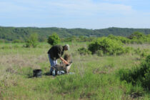 Διήμερο Ιδεών και Φροντίδας στην Πάλλη: Σχεδιάζουμε Μαζί την Αυλή που Ονειρευόμαστε