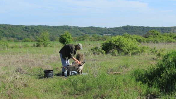 Διήμερο Ιδεών και Φροντίδας στην Πάλλη: Σχεδιάζουμε Μαζί την Αυλή που Ονειρευόμαστε