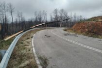 Κίνδυνοι στο οδικό δίκτυο από πτώσεις καμένων δέντρων – Προσοχή εφιστούν τα Δασαρχεία Αλεξανδρούπολης και Σουφλίου