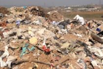 Aνησυχία από νεκρά ζώα που βρέθηκαν σε εγκαταλελειμμένη περιοχή στον Ίασμο