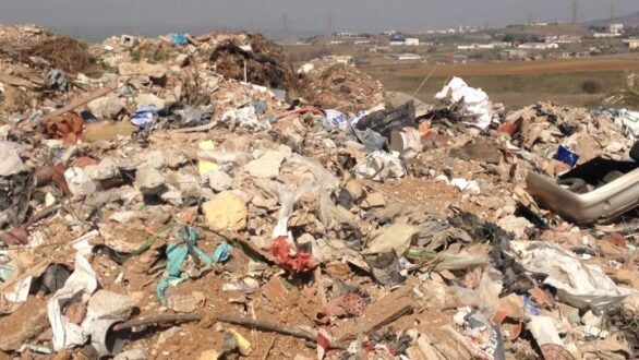 Aνησυχία από νεκρά ζώα που βρέθηκαν σε εγκαταλελειμμένη περιοχή στον Ίασμο