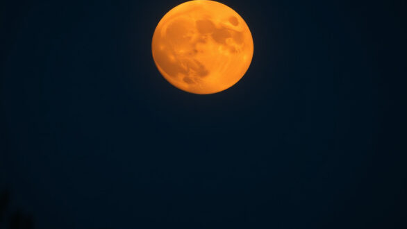 Σεληνιακό ημερολόγιο Νοεμβρίου: Πότε θα δούμε το «φεγγάρι του Κάστορα»