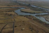 Πρόγραμμα LIFE για τη Νανόχηνα: Ολοκληρώθηκε με επιτυχία το διήμερο εργασίας στο Δέλτα του Έβρου