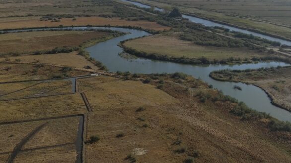 Πρόγραμμα LIFE για τη Νανόχηνα: Ολοκληρώθηκε με επιτυχία το διήμερο εργασίας στο Δέλτα του Έβρου