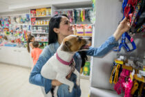 Τι πρέπει να ξέρουμε για τη διατροφή των σκύλων;