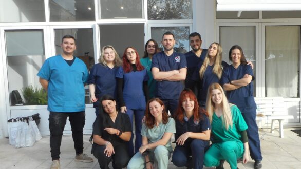 Πρόγραμμα στειρώσεων αδέσποτων ζώων συντροφιάς από τον Δήμο Ορεστιάδας