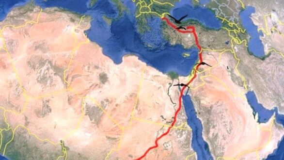 Μαυροπελαργός από τον Έβρο έφτασε στην Κεντρική Αφρική μετά από ταξίδι 5.500 χλμ.