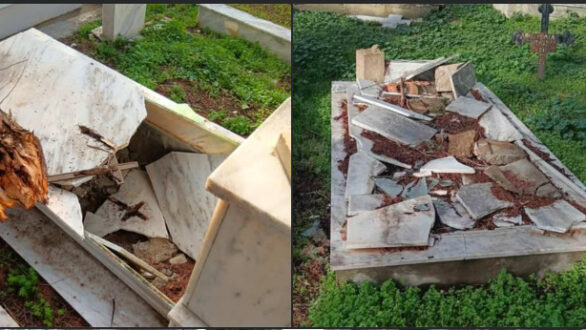 Μεγάλες καταστροφές από πτώσεις δέντρων στα κοιμητήρια του Σουφλίου