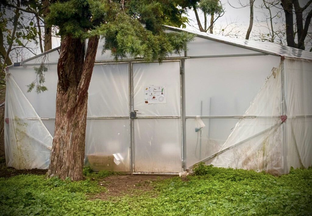 Με τα κέρδη της περσινής χρονιάς, το θερμοκήπιο εξοπλίστηκε με εργαλεία για τους μικρούς «αγρότες»