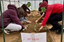 Ένα θερμοκήπιο ανθίζει στο δημοτικό σχολείο Δικαίων