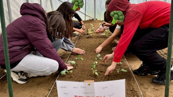 Ένα θερμοκήπιο ανθίζει στο δημοτικό σχολείο Δικαίων