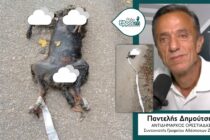 Ήταν τελικά “φρικτό έγκλημα”; Σε εξέλιξη η έρευνα για τον νεκρό σκύλο στην Ορεστιάδα