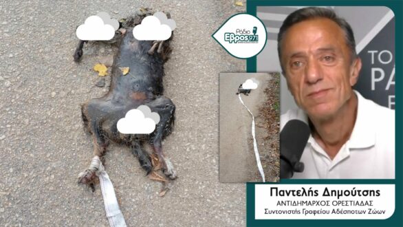 Ήταν τελικά “φρικτό έγκλημα”; Σε εξέλιξη η έρευνα για τον νεκρό σκύλο στην Ορεστιάδα