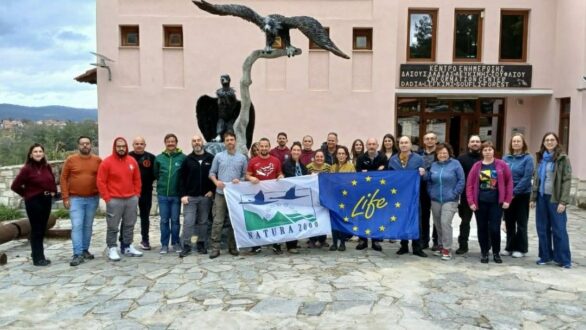 Ετήσια συνάντηση του προγράμματος LIFE για την αποκατάσταση του μαυρόγυπα στη Δαδιά
