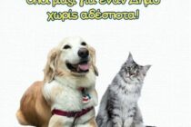 Ενημερωτικό έντυπο για τα ζώα συντροφιάς θα διανείμει ο Δήμος Διδυμοτείχου