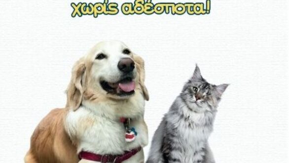 Ενημερωτικό έντυπο για τα ζώα συντροφιάς θα διανείμει ο Δήμος Διδυμοτείχου