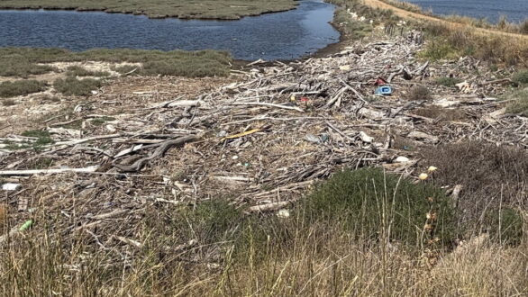 ΟΦΥΠΕΚΑ: Έργο καθαρισμού και απορρύπανσης στο Εθνικό Πάρκο Δέλτα Έβρου