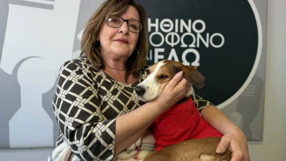 Η Κατερίνα, το Μπιζέλι και οι “Ηρωικές Καρδιές” των Φιλόζωων της Ορεστιάδας