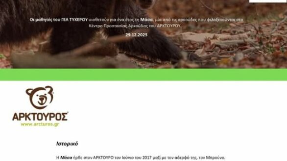 Οι μαθητές του ΓΕΛ Τυχερού υιοθέτησαν αρκούδα του ΑΡΚΤΟΥΡΟΥ