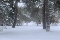 Η λειτουργία των σχολικών μονάδων για αύριο Τρίτη 13 Ιανουαρίου