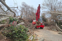 Δήμος Αλεξανδρούπολης: Δωρεάν διάθεση των ξεριζωμένων δέντρων ως καυσόξυλα σε δημότες που έχουν ανάγκη