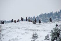 Στα λευκά ντύθηκαν οι προστατευόμενες περιοχές της Ελλάδας