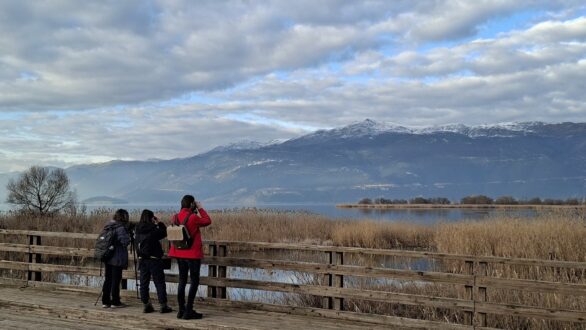 Μεσοχειμωνιάτικες καταμετρήσεις 2026: Σημαντικά ευρήματα στους ελληνικούς υγροτόπους