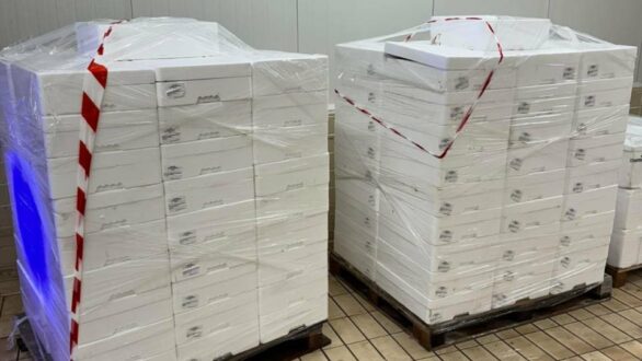 Παράνομη νυχτερινή αλιεία στην Καβάλα: Κατασχέθηκαν 2,4 τόνοι γαύρου και σαρδέλας