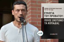 Πολιτική επιλογή η σφαγή – Σιδέρης Μιχαηλίδης: “Το χρήμα σκοτώνει τα κοπάδια”