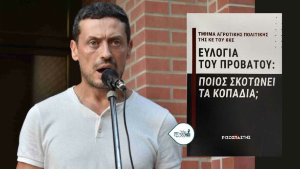 Πολιτική επιλογή η σφαγή – Σιδέρης Μιχαηλίδης: “Το χρήμα σκοτώνει τα κοπάδια”