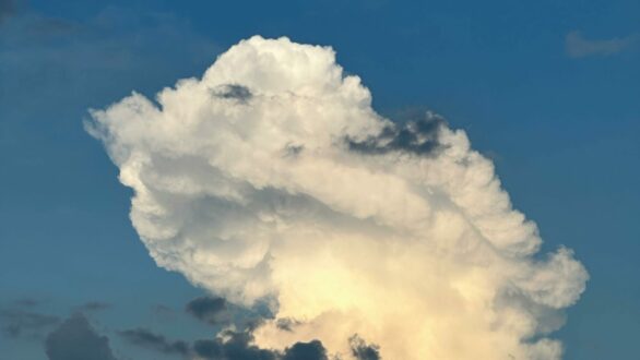 Ο Ιανουάριος του 2026, ο 5ος θερμότερος που καταγράφτηκε ποτέ