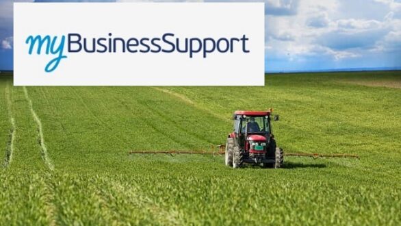 myBusinessSupport: Εκ νέου άνοιγμα της πλατφόρμας για διορθώσεις