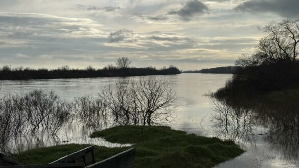 Επιτόπιοι έλεγχοι σήμερα από κλιμάκιο του ΕΛΓΑ στις πλημμυρισμένες εκτάσεις του ΤΟΕΒ Φερών–Πέπλου
