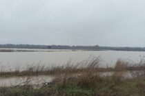 Αγροτικοί Σύλλογοι Βορείου Έβρου: Απαραίτητη η παράταση για τις ενστάσεις στο monitoring λόγω πλημμυρών