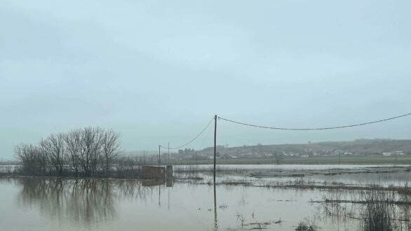 Κ. Βενετίδης: Σε κόκκινο συναγερμό ο Έβρος – Υπερχειλίσεις και αυξημένη πίεση στο Διδυμότειχο