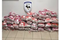 Αλεξανδρούπολη: Συνέλαβαν αλλοδαπό με πάνω από 60 κιλά κάνναβης