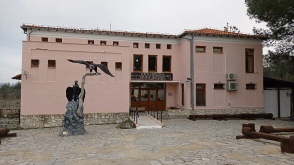 Ξανά ανοιχτό για το κοινό το Εθνικό Πάρκο Δαδιάς – Καθημερινές ξεναγήσεις στο παρατηρητήριο αρπακτικών