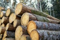 Σαμοθράκη: Συλλογή καυσόξυλων από τα δημόσια δάση – Ποιοι δικαιούνται και ποιοι είναι οι όροι