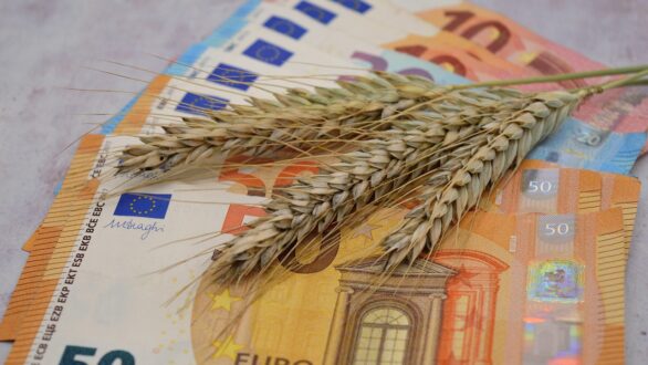 ΥπΑΑΤ: Παρεμβάσεις 262,6 εκατ. ευρώ για επενδύσεις στον πρωτογενή τομέα